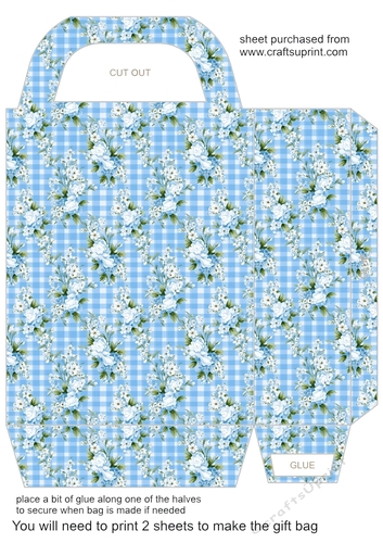 Blue gingham floral gift bag 2