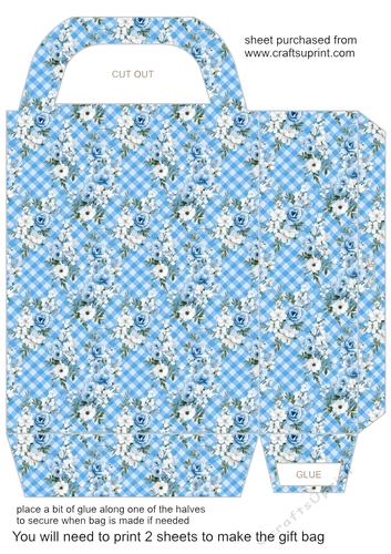 Blue gingham floral gift bag 3