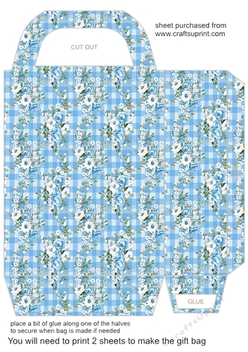 Blue gingham floral gift bag 4