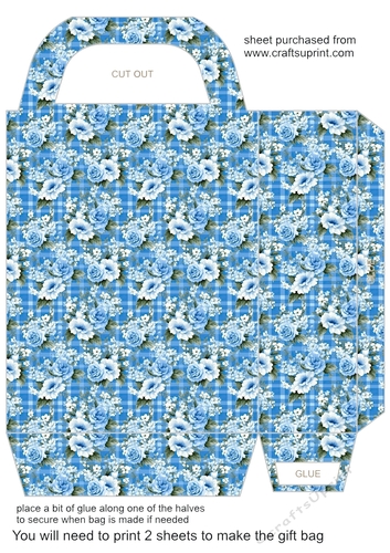 Blue gingham floral gift bag 5