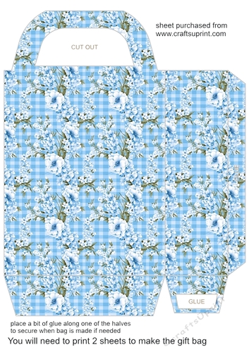 Blue gingham floral gift bag 6