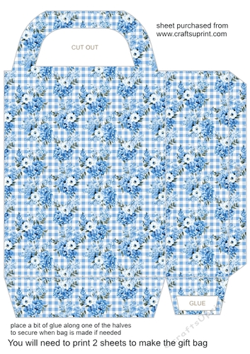 Blue gingham floral gift bag 7