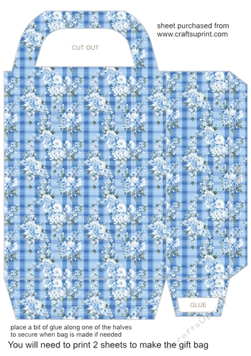 Blue gingham floral gift bag 9