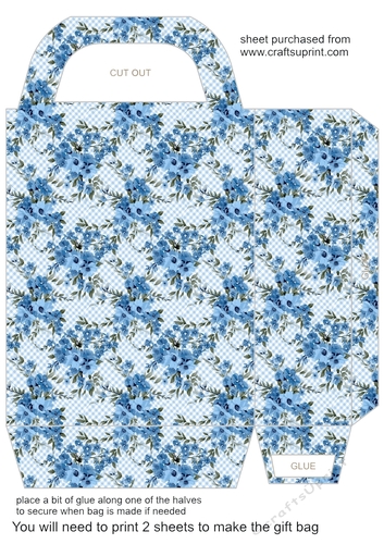 Blue gingham floral gift bag 10