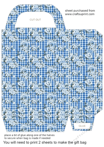 Blue gingham floral gift bag 11