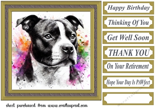 Paint splash Staffie card front 3