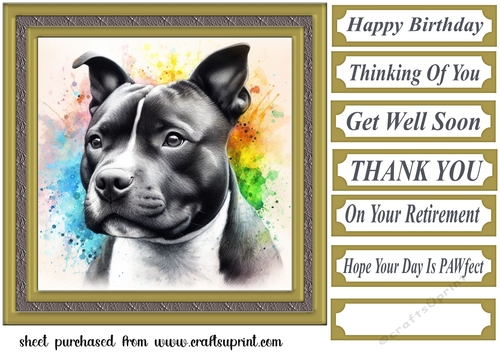 Paint splash Staffie card front 5