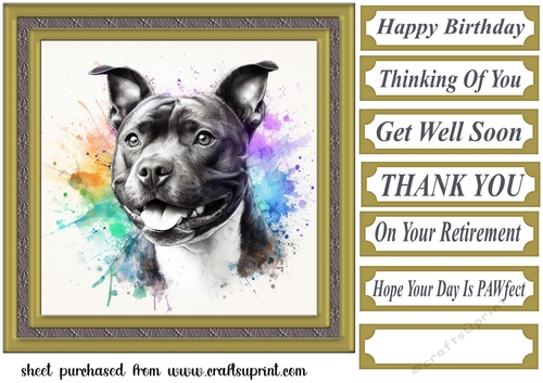 Paint splash Staffie card front 7