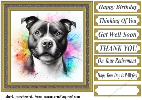 Paint splash Staffie card front 8