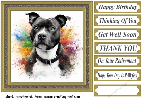 Paint splash Staffie card front 9