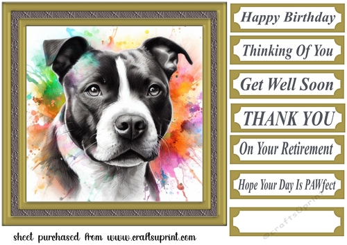 Paint splash Staffie card front 10