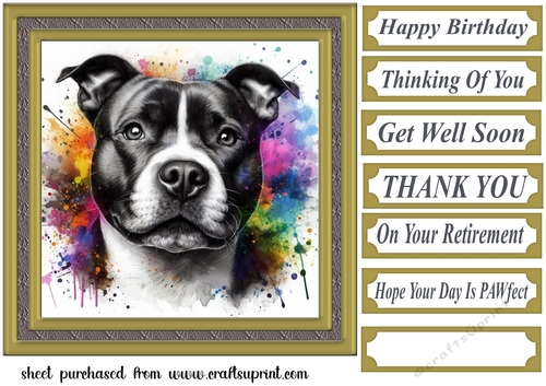 Paint splash Staffie card front 12