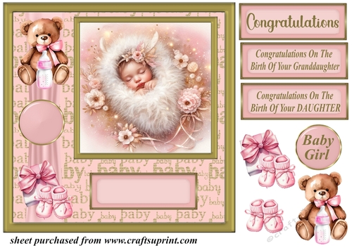 New Baby girl card front 1