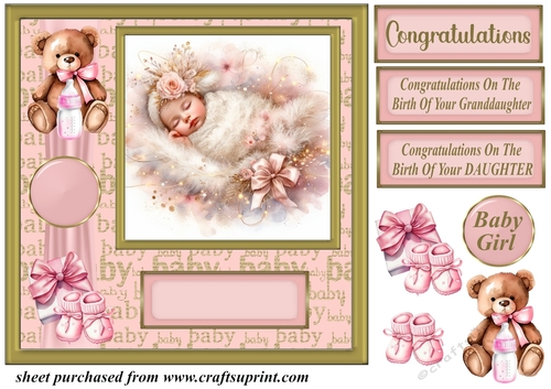 New Baby girl card front 2