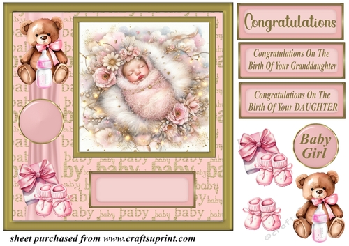 New Baby girl card front 4