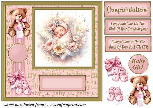 New Baby girl card front 5