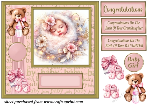 New Baby girl card front 7