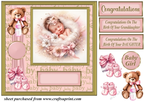 New Baby girl card front 8