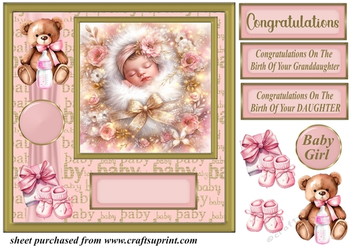 New Baby girl card front 9