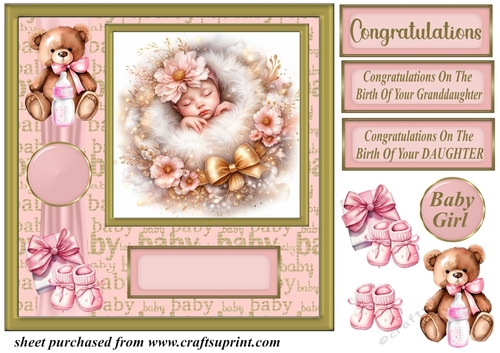 New Baby girl card front 10
