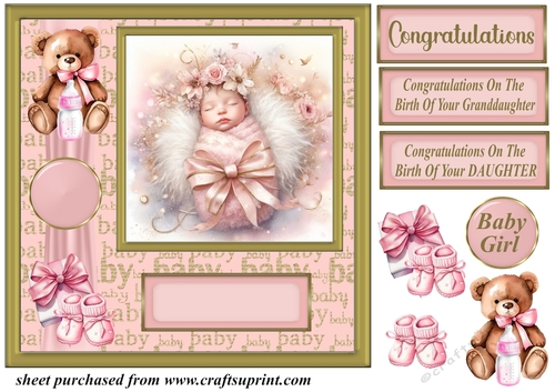 New Baby girl card front 11