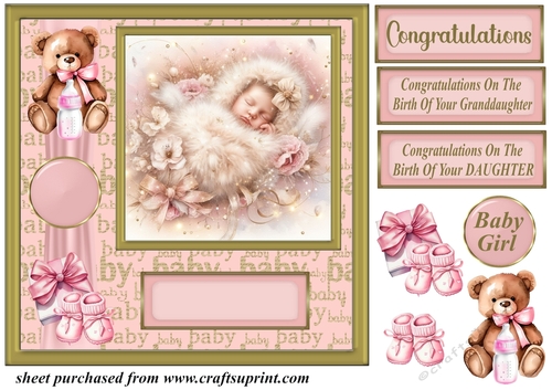 New Baby girl card front 12