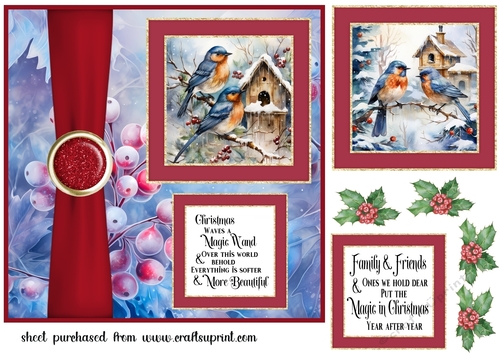 Winter birds card front 1