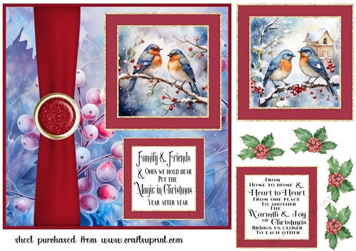 Winter birds card front 3