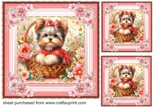 3 Floral Yorkie card front/toppers 1