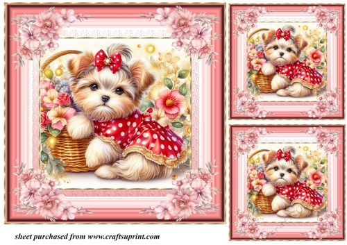 3 Floral Yorkie card front/toppers 14