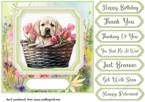 Floral puppy in basket card front 1