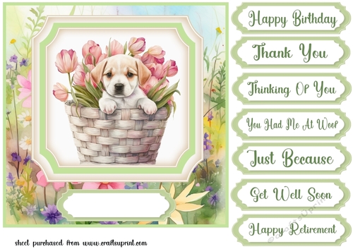Floral puppy in basket card front 2