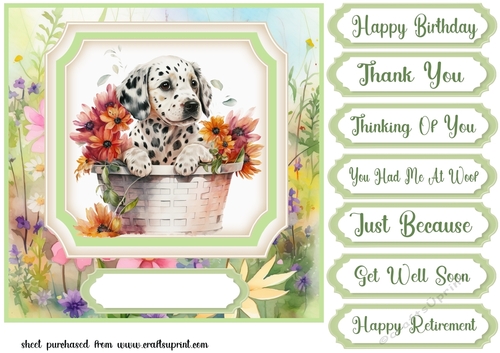 Floral puppy in basket card front 4