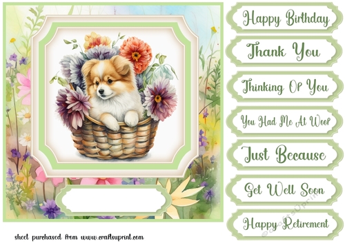 Floral puppy in basket card front 6