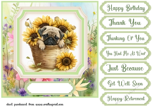 Floral puppy in basket card front 7