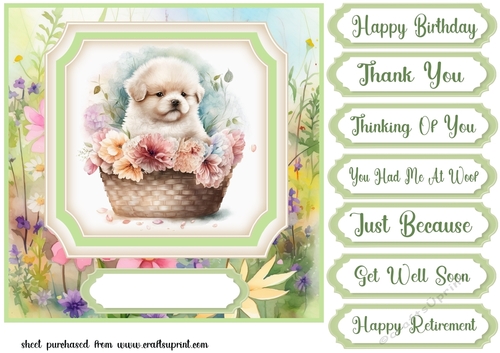Floral puppy in basket card front 8
