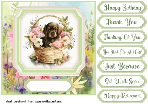 Floral puppy in basket card front 9