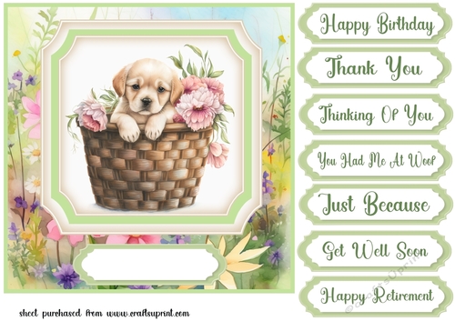 Floral puppy in basket card front 11