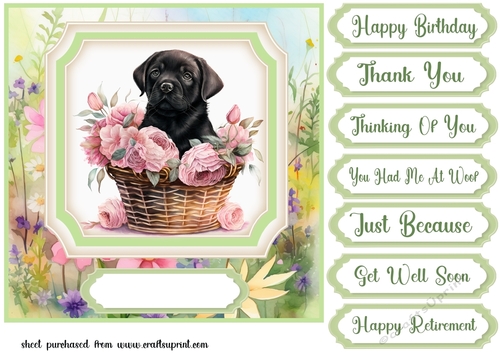 Floral puppy in basket card front 12