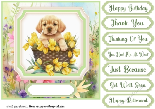 Floral puppy in basket card front 14