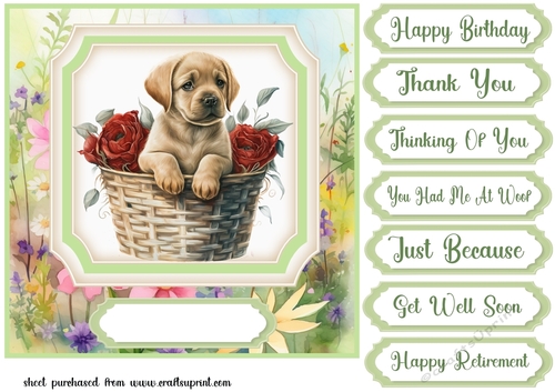Floral puppy in basket card front 15