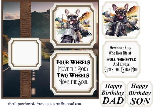 2 Panel motorbike Frenchie card front 4