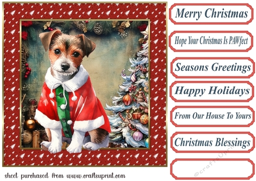 Christmas Jack Russel card front 3