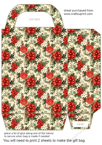 Christmas vibe gift bag 5