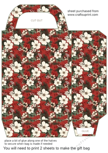 Christmas vibe gift bag 6