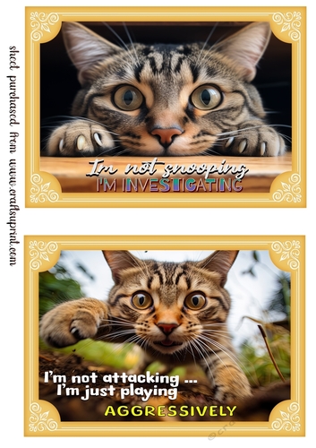 2 What does the cat say card fronts (7x5 aprox) 1