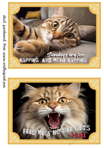 2 What does the cat say card fronts (7x5 aprox) 2