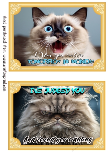 2 What does the cat say card fronts (7x5 aprox) 3