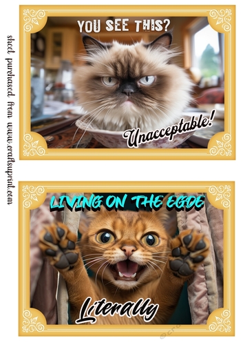 2 What does the cat say card fronts (7x5 aprox) 4