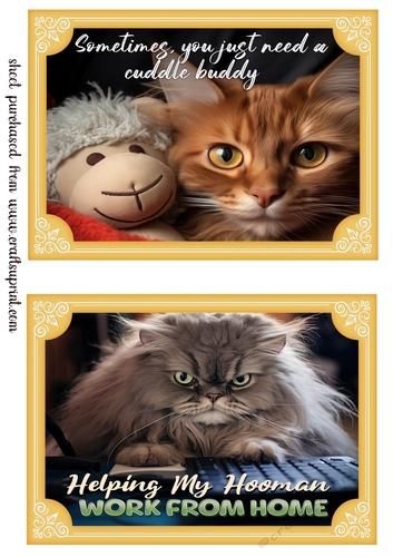 2 What does the cat say card fronts (7x5 aprox) 5